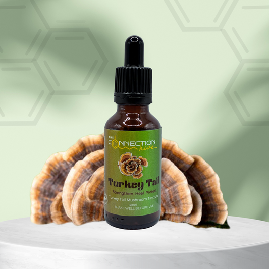 Turkey Tail Mushroom Tincture 30ml