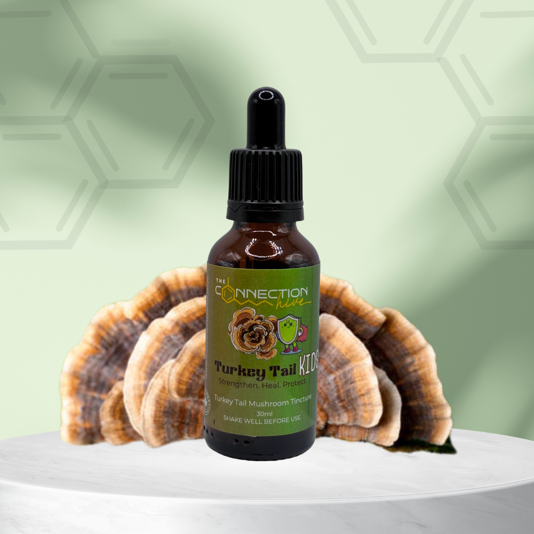 Turkey Tail Kids 30ml